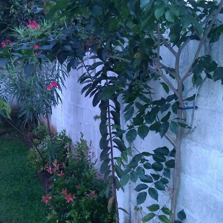 אנוראדפורה Umaya Holiday Home מראה חיצוני תמונה