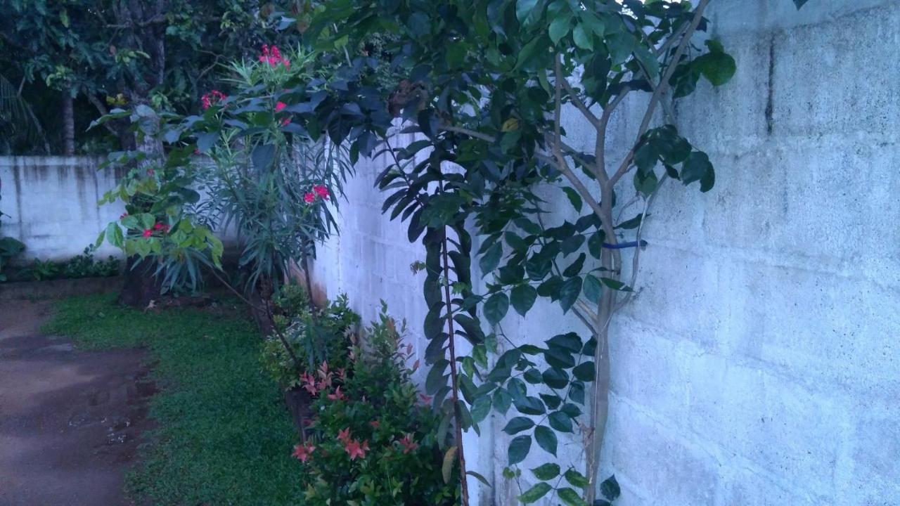 אנוראדפורה Umaya Holiday Home מראה חיצוני תמונה